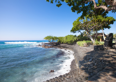 alii-honu-kai-01